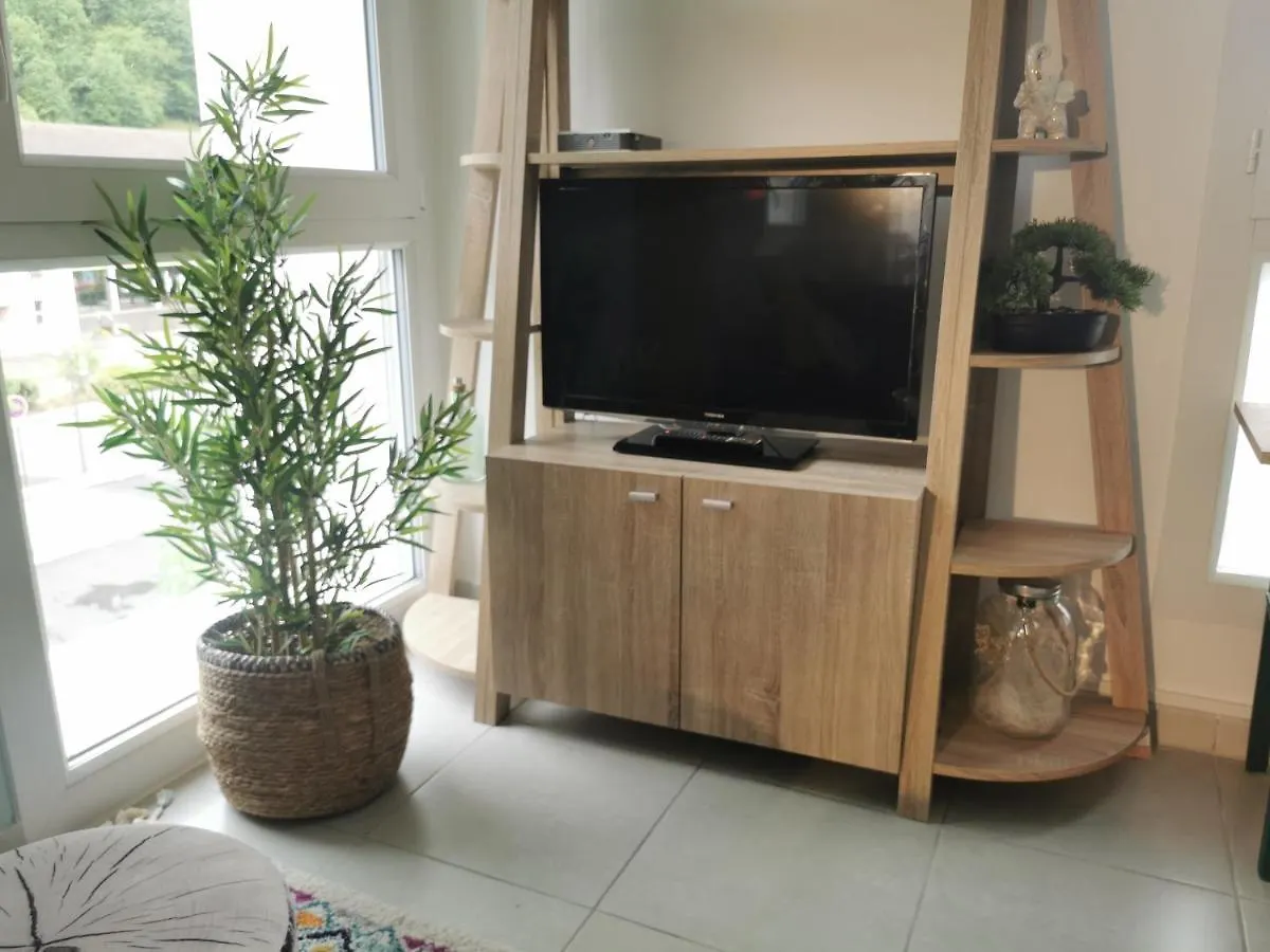 Semnoz & Lac - Wifi - Parking - Netflix - Balcon - Centre-Ville Sevrier Apartment